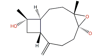 Nanorcaryophyllene A